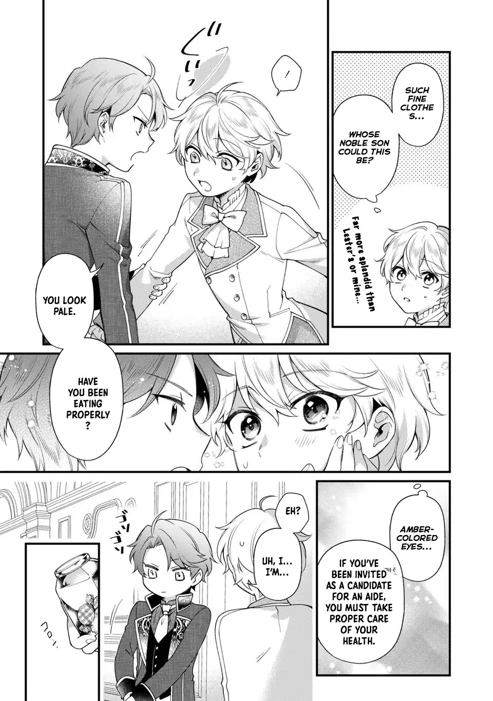 The Prince’s Accountant with a Secret — The Fake Lady Just Wants to Resign Peacefully to Avoid Execution! Chapter 3 Page 13